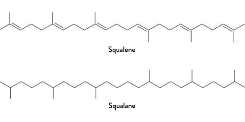 Ecotoxicity and cosmetics img1