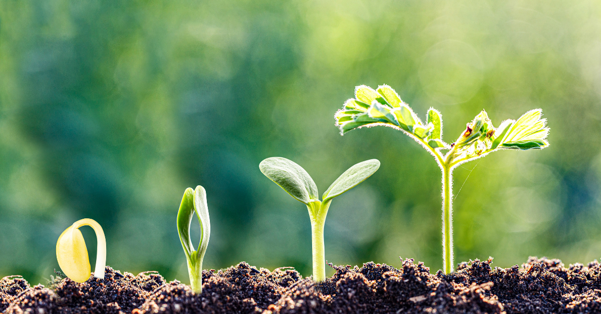 regenerative sourcing blog article (1)
